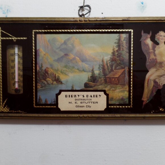 Vintage Advertisement Plaque Birky's Dairy Gibson City - Picture 1 of 11